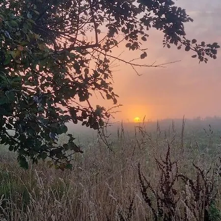 Strandhaus In Der Duene *