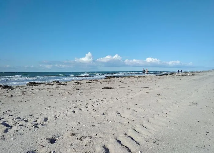 Strandhaus In Der Duene Lägenhet Dierhagen