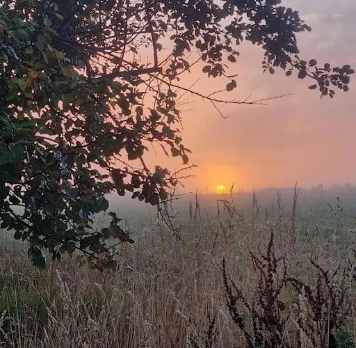 Strandhaus In Der Duene *